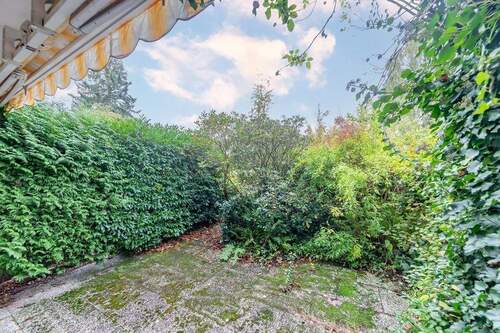 ... sonniger Terrasse. - 