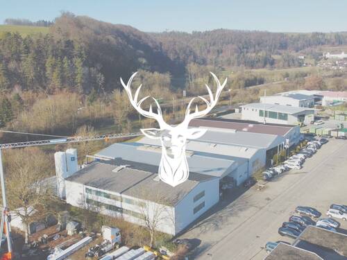 Bild1.jpg - Vielseitiges Gewerbeareal mit Lager-, Produktions-, Büro- und Außenflächen inkl. vermietetem Fitnessstudio zu verkaufen