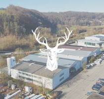 Vielseitiges Gewerbeareal mit Lager-, Produktions-, Büro- und Außenflächen inkl. vermietetem Fitnessstudio zu verkaufen - Wutöschingen Degernau