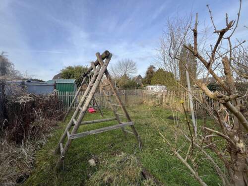 Garten hinter dem Haus - 