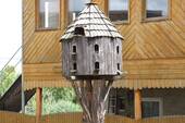 Detail Vogelhaus - 