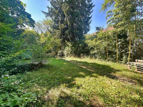 Traumhaft sonniger Garten - Grundstück in München
