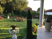 Blick in Garten - 