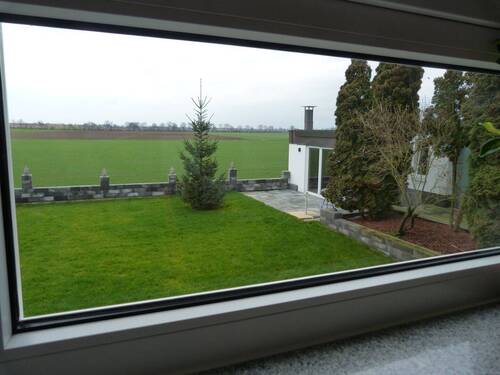 Blick in den Garten - 