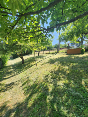 HB24 Blick i.d. Garten - 