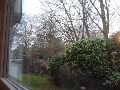 Wohnzimmerblick nach Süden - 