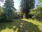 eingewachsener Garten - 