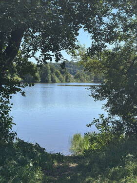 Bild 24 - 