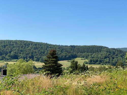 Bild 3 - Grundstück in Biebergemünd
