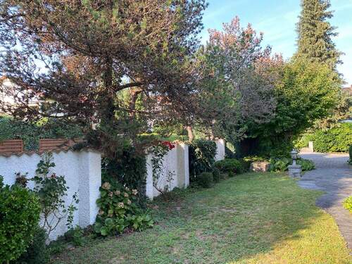 Grünanlage zur Straße hin - 7 Zimmer Einfamilienhaus in Langenargen