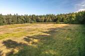 und Wiese - 