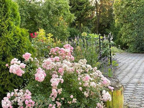 Natur ist Lebensqualität - 