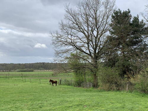 Grundstück mit Weitblick - 5 Zimmer Einfamilienhaus zum Kaufen in Wendhausen