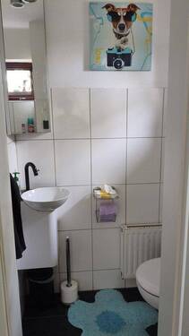 Gäste-WC EG, Tageslicht - 