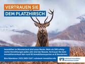 Platzhirsch_EbayKleinanzeigen_2400x1800Pixel_221201_Ibbenbueren - 
