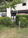 West Ansicht/ - 6 Zimmer Etagenwohnung zum Kaufen in Ladenburg