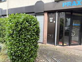West Ansicht - Etagenwohnung mit 120,00 m² in Ladenburg zum Kaufen