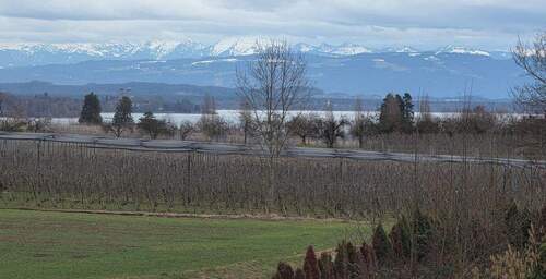 Aussicht Original aus der Whg. - 