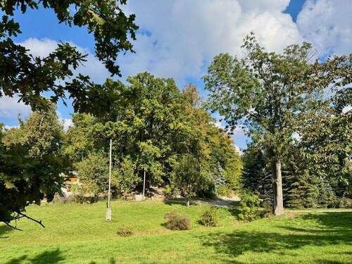 Blick nach Norden - Grundstück in Königsbrück zum Kaufen