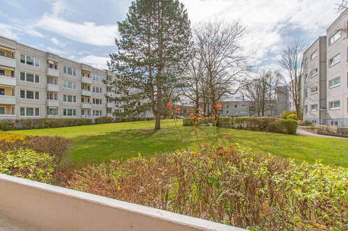 Blick in den grünen Gemeinschaftsgarten - 