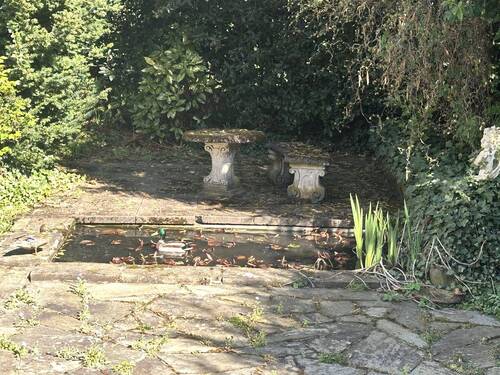 Teich mit Enten - 