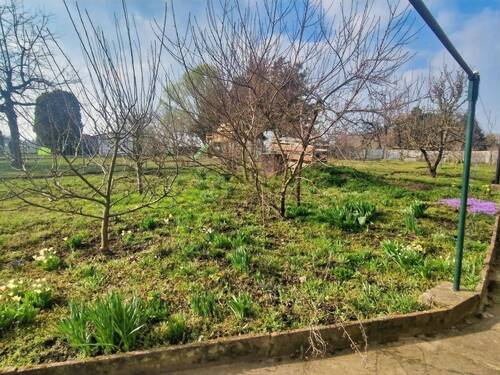 Garten - 1 Zimmer Doppelhaushälfte zum Kaufen in Rositz