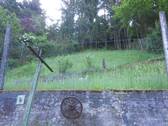 Garten.JPG - 