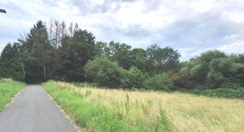 Grundstück - Grundstück in Osterode