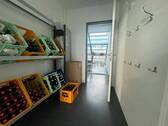 Bild 16 - 