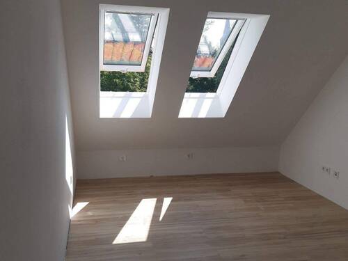 Zimmer 3 - 