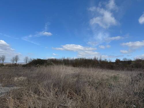 Ansicht - Grundstück in Bovenden unterhalb der Burgruine Plesse - zeitnah zu bebauen ( § 34)