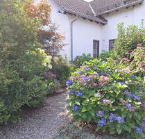 MAKLERFREI_Traumhaftes Einfamilienhaus mit 2 ELW mitten im Grünen - St. Egidien