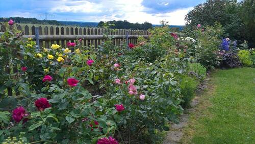 Blick von der Terrasse - 1 Zimmer Einfamilienhaus in St. Egidien