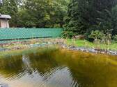 Schwimmteich - 