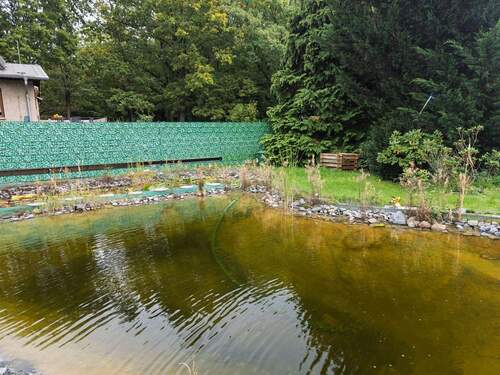 Schwimmteich - 
