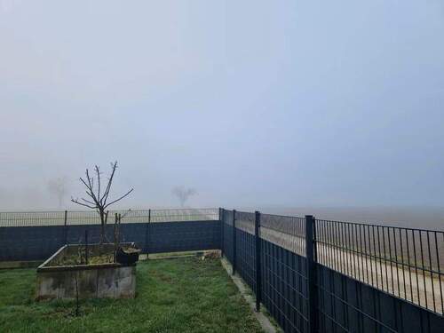 294daf15-fd7b-4b3d-bab0-007c9b68e6c1.jpg - 