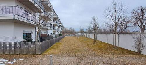 Gemeinschaftsgarten - 