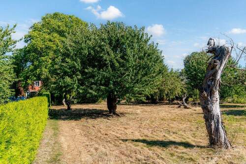 Garten mit Obstbaumbestand - 