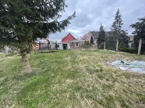 Blick in den Garten - 