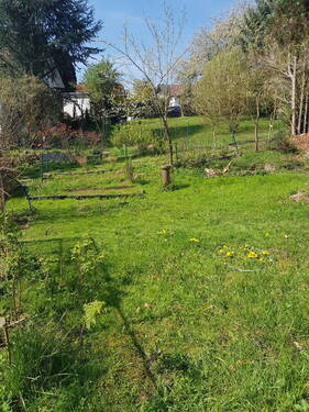 Bild 3 - Grundstück in Neckargemünd