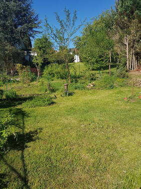 Bild 5 - 