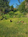 Bild 6 - 