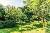 9 Garten - 