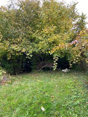 Garten - 