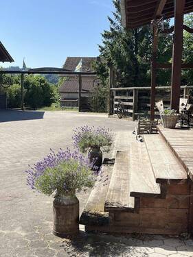 Bild 13 - 