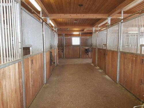 Boxen - 