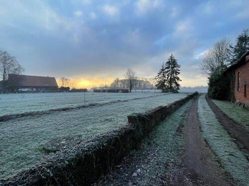 Zufahrt Image 2025-02-01 at 13.39.38.jpeg - 