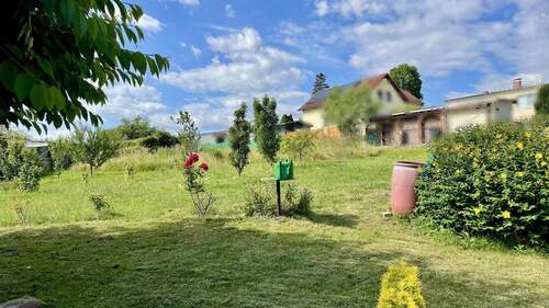 Blick in den Garten - 