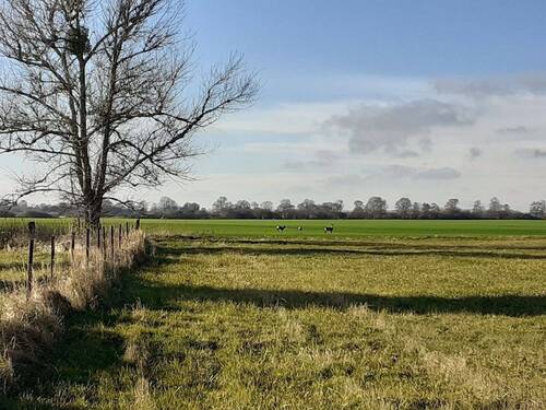 Blick in die Landschaft.jpg - 