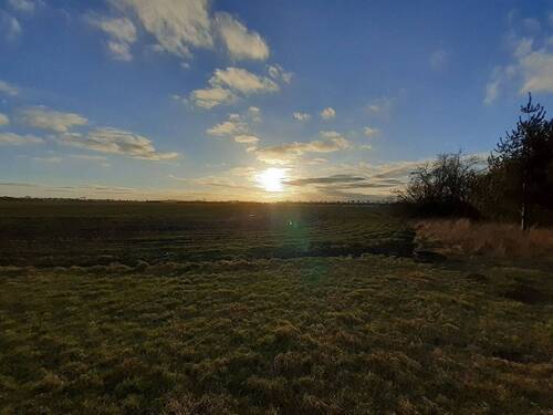4.1 R. kurz vor dem Grenzpunkt Wildgänse im Hinter - 